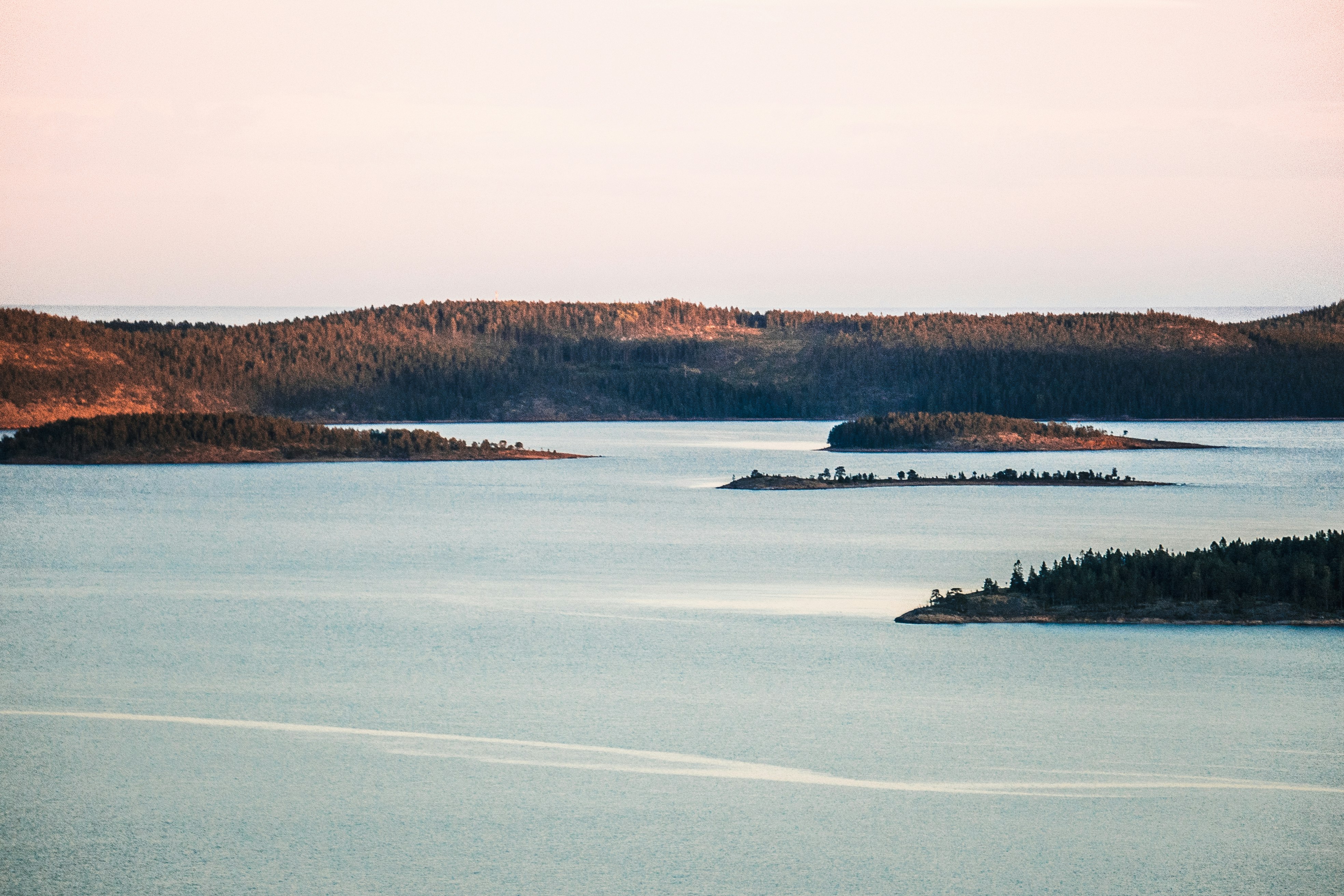 body of water near green trees during daytime